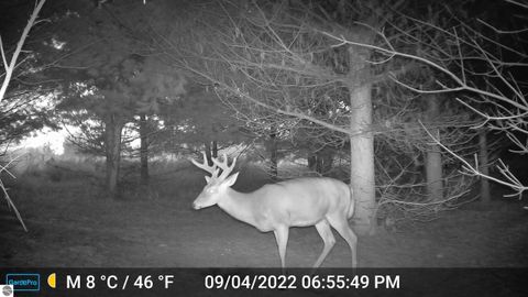 Tiny photo for 3626 90th Avenue, Evart, MI 49631 (MLS # 1939735)