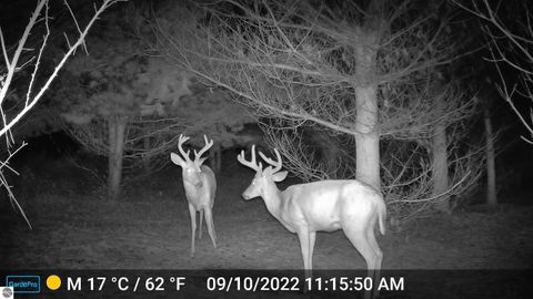 Tiny photo for 3626 90th Avenue, Evart, MI 49631 (MLS # 1939735)