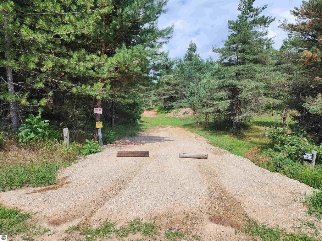 Photo of Parcel A E 18 1/2 Road, Manton, MI 49663 (MLS # 1937501)