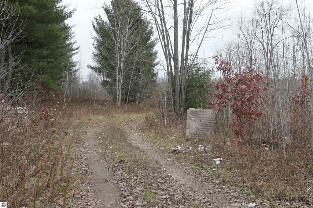 Photo of TBD E Pickard Road, Mt Pleasant, MI 48858 (MLS # 1933328)
