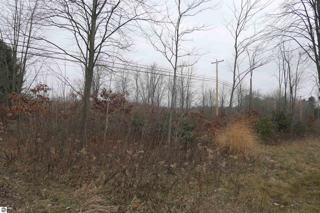 Photo of TBD E Pickard Road, Mt Pleasant, MI 48858 (MLS # 1933328)