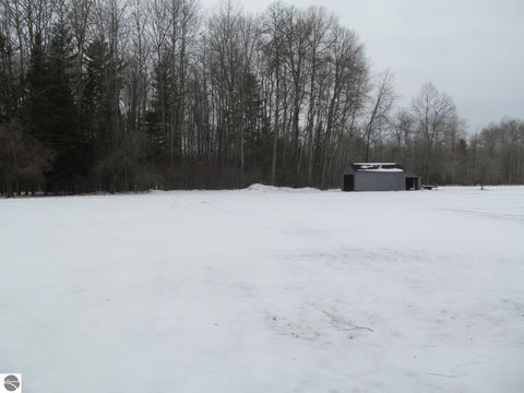 Tiny photo for 4464 Wilson Road, Merritt, MI 49667 (MLS # 1941327)