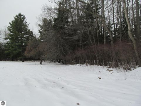 Tiny photo for 4464 Wilson Road, Merritt, MI 49667 (MLS # 1941327)