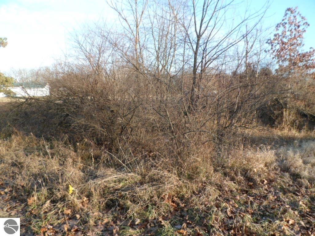 Photo of 1012 Marietta Street #59, Lake Isabella, MI 48893 (MLS # 1918195)