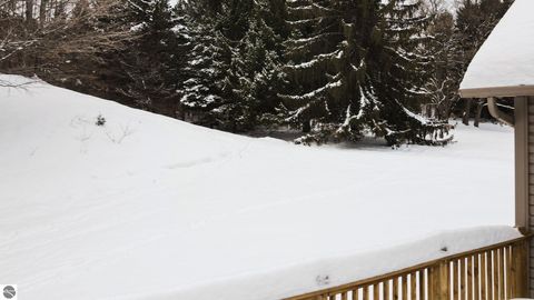 Tiny photo for 351 N M-88, Bellaire, MI 49615 (MLS # 1941210)