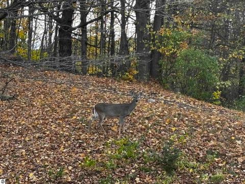 Tiny photo for 351 N M-88, Bellaire, MI 49615 (MLS # 1941210)