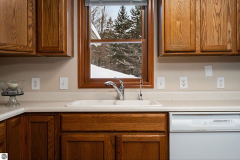 Tiny photo for 351 N M-88, Bellaire, MI 49615 (MLS # 1941210)