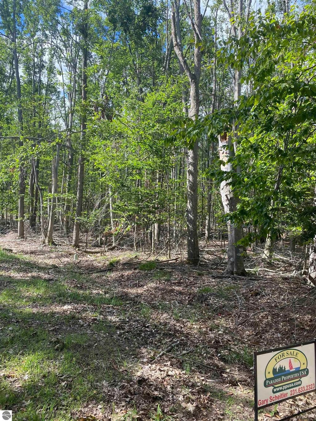 Photo of 156157 Hummingbird Court #156/57, Gaylord, MI 49735 (MLS # 1938257)