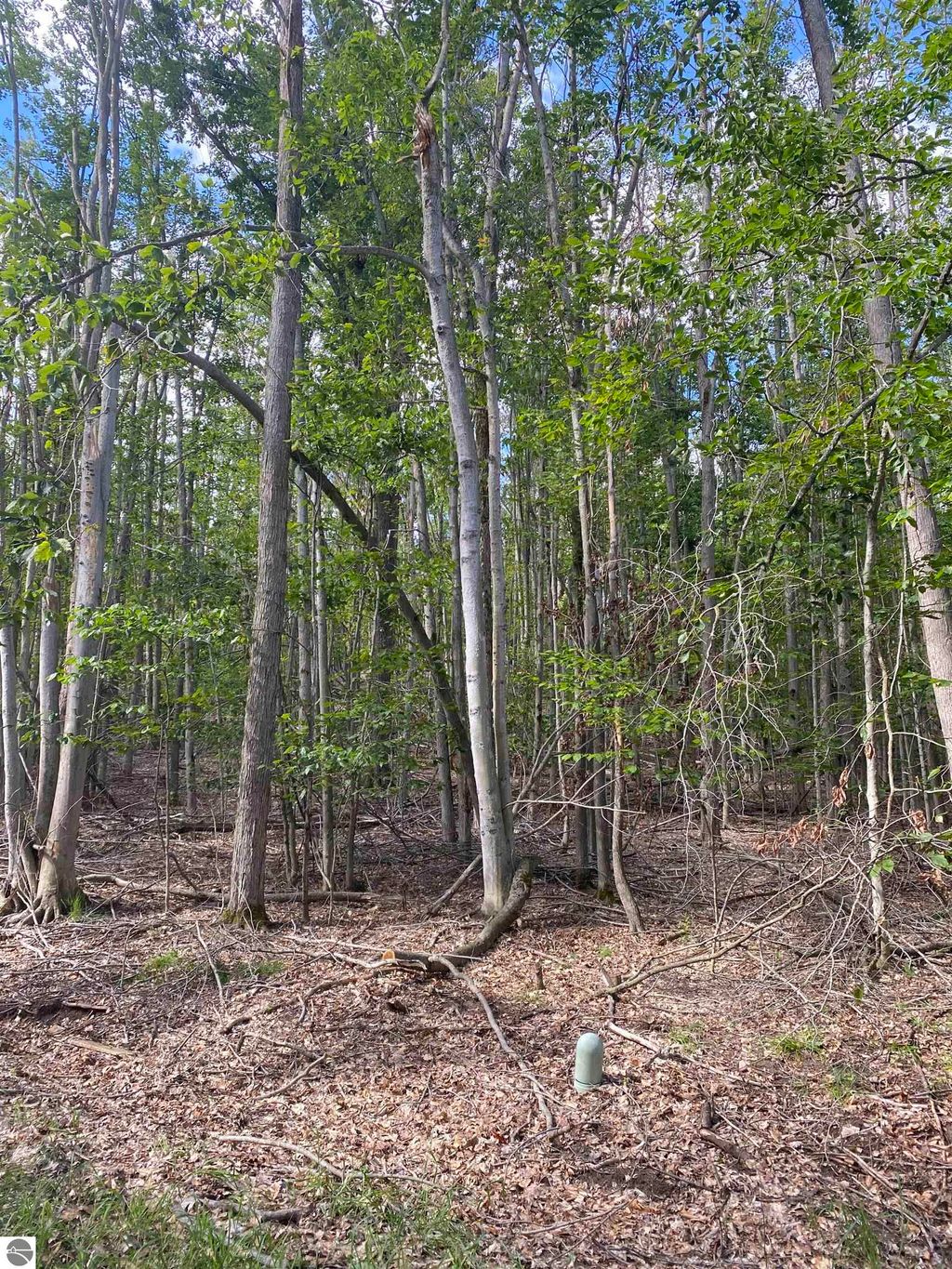 Photo of 156157 Hummingbird Court #156/57, Gaylord, MI 49735 (MLS # 1938257)