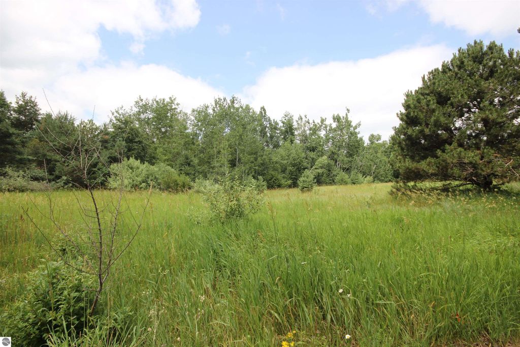 Photo of 2624 Hartman Road, Traverse City, MI 49685 (MLS # 1937406)