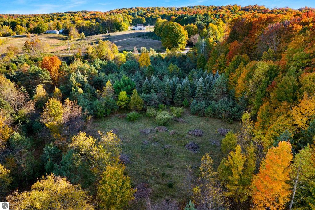 Photo of 9874 Covey Road, Beulah, MI 49617 (MLS # 1939861)