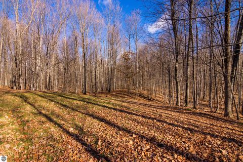 Tiny photo for 5877 E Lake Five Lane, Kalkaska, MI 49646 (MLS # 1940546)