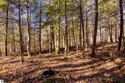 Tiny photo for 5877 E Lake Five Lane, Kalkaska, MI 49646 (MLS # 1940546)