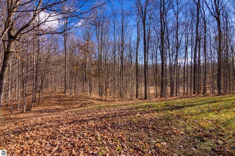 Tiny photo for 5877 E Lake Five Lane, Kalkaska, MI 49646 (MLS # 1940546)