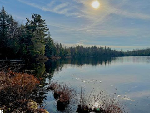 Tiny photo for 5877 E Lake Five Lane, Kalkaska, MI 49646 (MLS # 1940546)