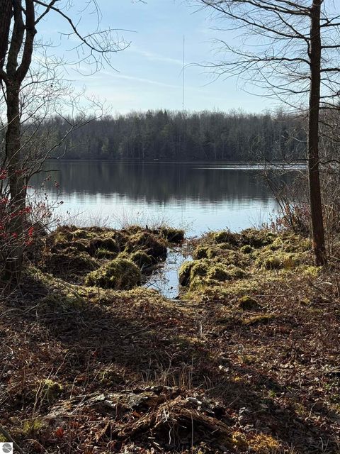 Tiny photo for 5877 E Lake Five Lane, Kalkaska, MI 49646 (MLS # 1940546)