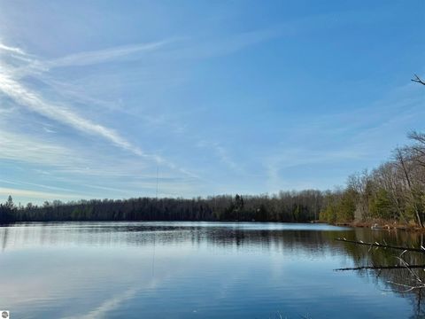 Tiny photo for 5877 E Lake Five Lane, Kalkaska, MI 49646 (MLS # 1940546)