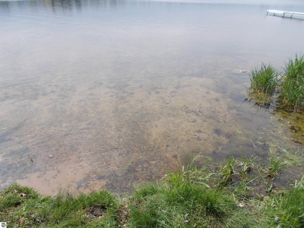 Photo of 2995 Maple Road, Hale, MI 48739 (MLS # 1936389)