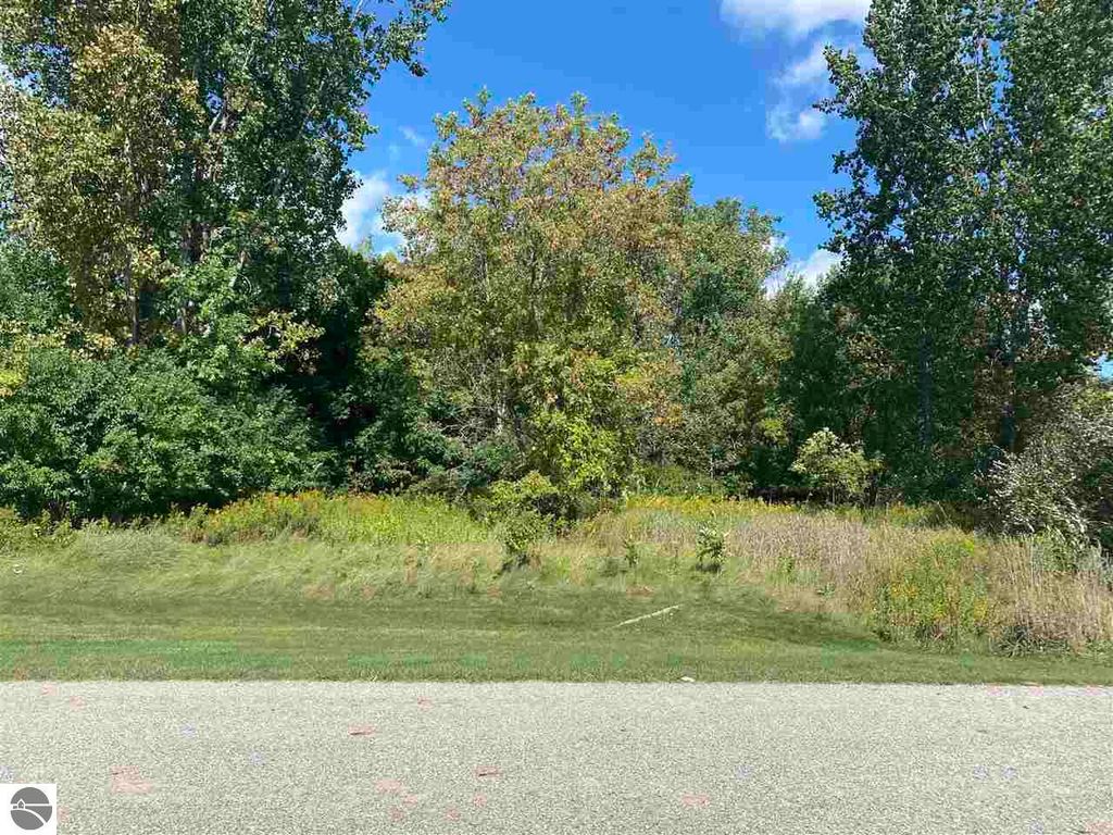 Photo of 10 McDonald Drive, Mt Pleasant, MI 48858 (MLS # 1936566)