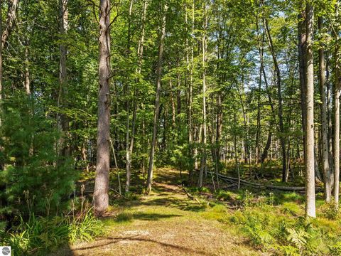Tiny photo for 11216 Lake Shore Drive, Fife Lake, MI 49633 (MLS # 1939361)