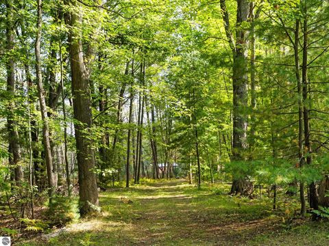 Tiny photo for 11216 Lake Shore Drive, Fife Lake, MI 49633 (MLS # 1939361)