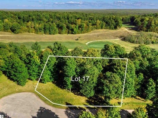 17 HEATHER RIDGE TRL, BEULAH, MI 49617 - Image cf3884d3239b10eb5624c5bac9643e4e/826616021