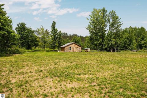 Tiny photo for 6330 Lund Road, Sw, Fife Lake, MI 49633 (MLS # 1939938)