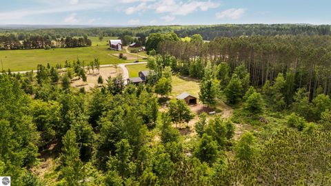 Tiny photo for 6330 Lund Road, Sw, Fife Lake, MI 49633 (MLS # 1939938)