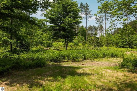 Tiny photo for 6330 Lund Road, Sw, Fife Lake, MI 49633 (MLS # 1939938)