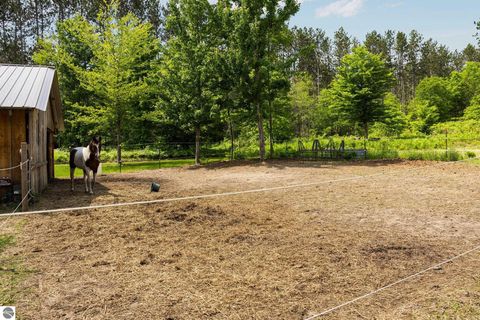 Tiny photo for 6330 Lund Road, Sw, Fife Lake, MI 49633 (MLS # 1939938)