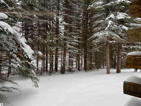 Tiny photo for 3434 E 14 Road, Manton, MI 49663 (MLS # 1941117)