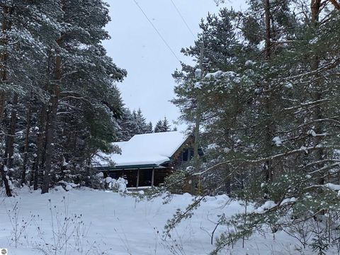 Tiny photo for 3434 E 14 Road, Manton, MI 49663 (MLS # 1941117)