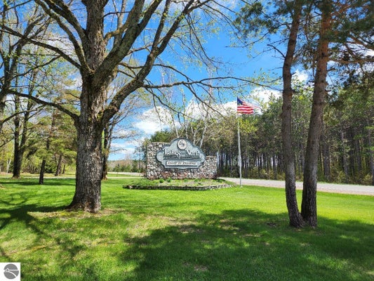5165 SNOWRIDGE TRL, ELMIRA, MI 49730 - Image d0e83806aa1cd675d2debbf6fc26da38/593607625