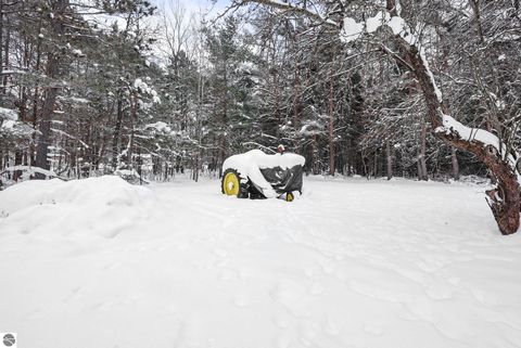 Tiny photo for 8274 E 30 3/4 Road, Cadillac, MI 49601 (MLS # 1941092)