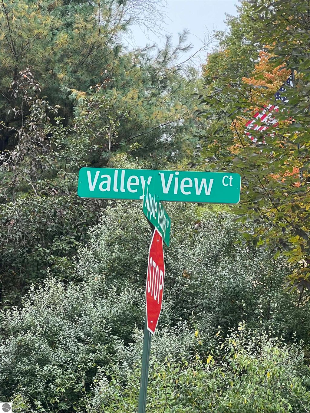 Photo of 77 Valley View Court, Rapid City, MI 49676 (MLS # 1939705)