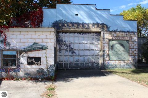 Tiny photo for 316 S Coral Street, Kalkaska, MI 49646 (MLS # 1939304)