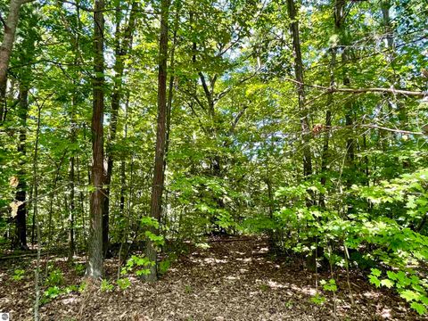 Tiny photo for 0 US-31 S #40,41, Williamsburg, MI 49690 (MLS # 1938377)