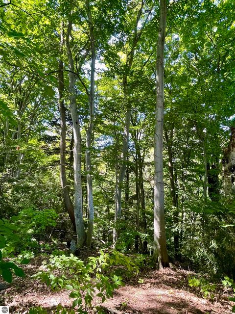 Tiny photo for 0 US-31 S #40,41, Williamsburg, MI 49690 (MLS # 1938377)