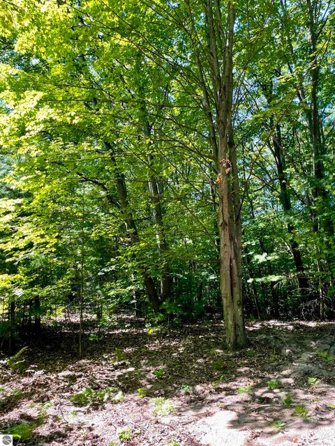 Tiny photo for 0 US-31 S #40,41, Williamsburg, MI 49690 (MLS # 1938377)