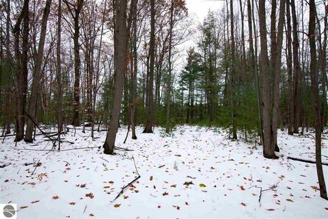 Tiny photo for 864 SE Blue Heron Drive, Kalkaska, MI 49646 (MLS # 1928569)