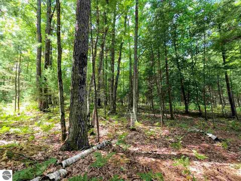 Tiny photo for 864 SE Blue Heron Drive, Kalkaska, MI 49646 (MLS # 1928569)