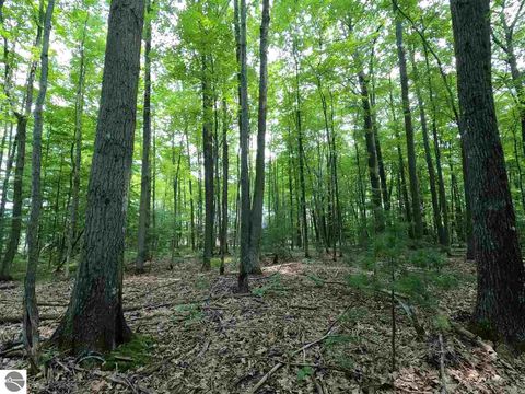 Tiny photo for 864 SE Blue Heron Drive, Kalkaska, MI 49646 (MLS # 1928569)