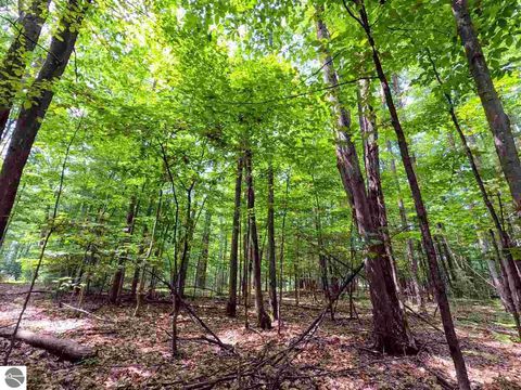 Tiny photo for 864 SE Blue Heron Drive, Kalkaska, MI 49646 (MLS # 1928569)