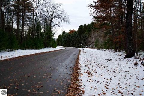 Tiny photo for 864 SE Blue Heron Drive, Kalkaska, MI 49646 (MLS # 1928569)
