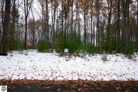 Tiny photo for 864 SE Blue Heron Drive, Kalkaska, MI 49646 (MLS # 1928569)