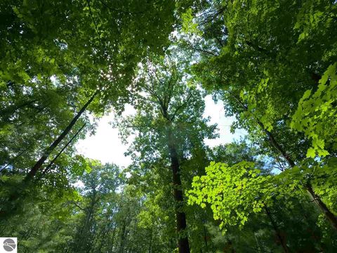 Tiny photo for 864 SE Blue Heron Drive, Kalkaska, MI 49646 (MLS # 1928569)