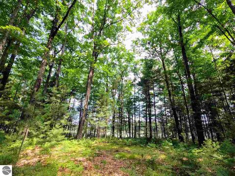 Tiny photo for 864 SE Blue Heron Drive, Kalkaska, MI 49646 (MLS # 1928569)