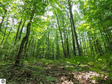 Tiny photo for 864 SE Blue Heron Drive, Kalkaska, MI 49646 (MLS # 1928569)