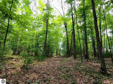 Tiny photo for 864 SE Blue Heron Drive, Kalkaska, MI 49646 (MLS # 1928569)