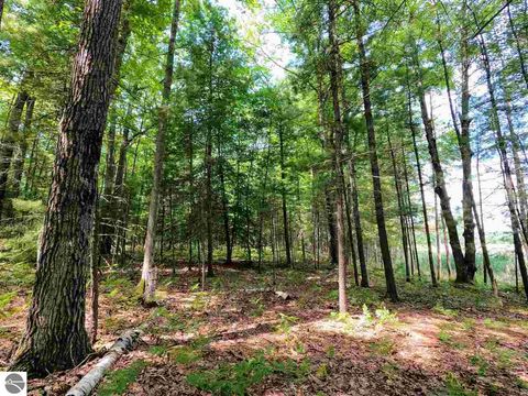 Photo of 864 SE Blue Heron Drive, Kalkaska, MI 49646 (MLS # 1928569)